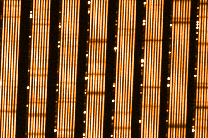 Test spectrum of UVES in Fibre mode