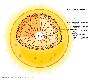 The solar interior