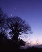 The Moon Three Degrees from Venus