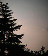 Venus' Crescent