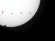 Venus Transit and the Bird