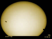 Venus Transit and the Bird